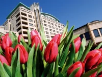 Grand Hotel Huis Ter Duin 5*