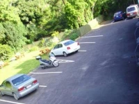 Carrington Motel 4*