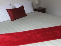 Ambassador Motor Lodge 4*