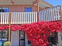 Picton Campervan Park 4*