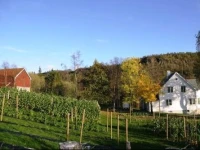 Kobbelv Vertshus 3*