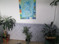 Hostel Pacifica 