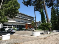 Colmeia 3*