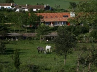 Herdade da Matinha 3*