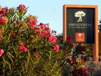 Amendoeira Golf Resort 4*