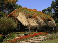 Mae-Sa Valley Craft Village Resort 3*