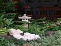 Casa Holiday 2*