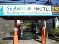 Seaweed Hostel Khaolak 