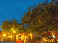 Koh Tao Regal Resort 3*