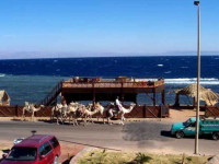 Sea and C Resort