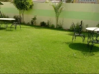 Green View Ranthambhore 2*