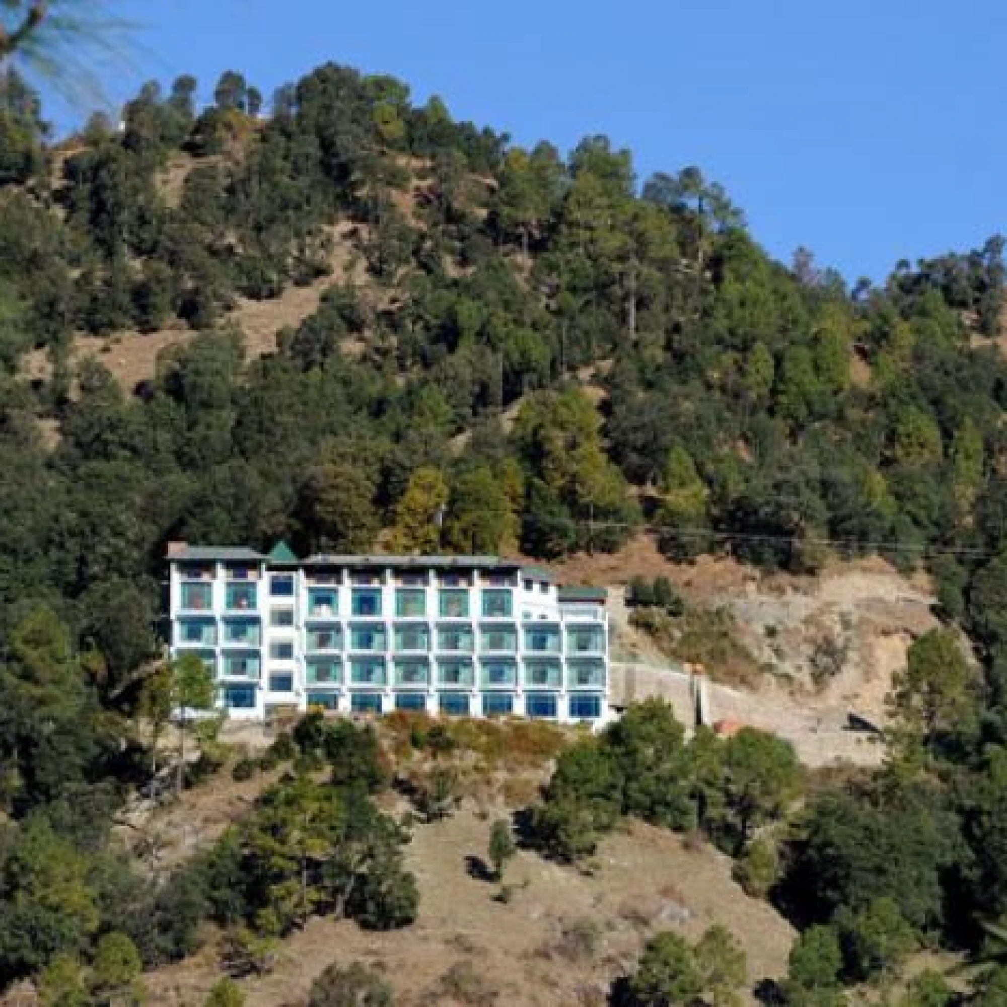 Chail Crown 3*