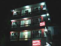 Maurya Kangra