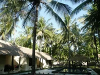 Eden Cottages 