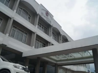 Surya Hotel Duri 2*