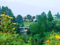 Patra Parapat Lake Resort / Patra Jasa Parapat Lake Resort 2*