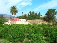 La Joya Del Valle De Ricote 3*