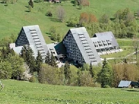 Arnika 3*
