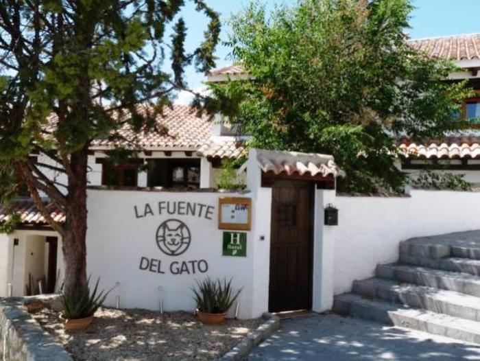 La Fuente del Gato 