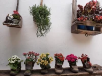 El Rincon De Carmen 3*