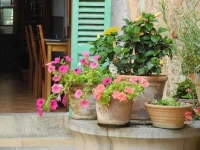 Casa Bougainvillea 3*