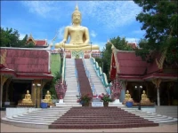 Fortuna 2-3 Samui 