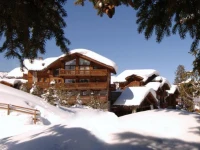 Chalet Tsuga  5*