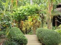 Ao Nang Premier Resort 3*