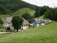 Cvetje v jeseni 