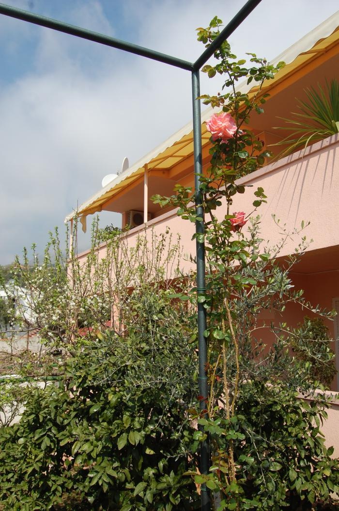 Vila Montenegro 3*