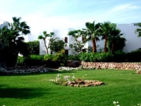 Domina Coral Bay Aquamarine Pool 5*