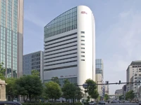 Hotel Elsereine Osaka 3*