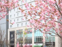 Urban Hotel Minami Kusatsu 3*