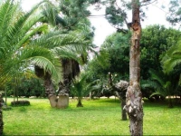 Finca SAigo 3*