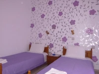 Ipokampos 1*