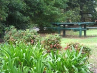 Palmwoods Caravan Park 4*