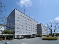 Hiroshima Airport Hotel 3*