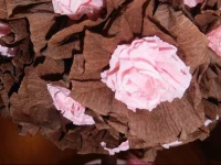 Les Florentines 2*