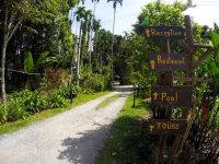 Morning Mist Resort 3*