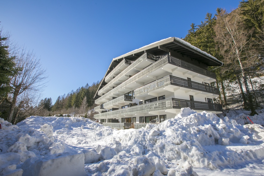 Residence Androsace 1*