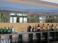 Hotel Weinblatt 3*