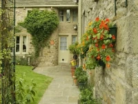 Ashfield House 5*