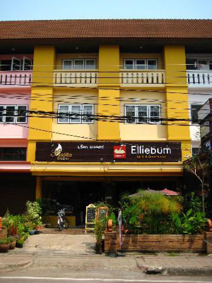 Elliebum 3*