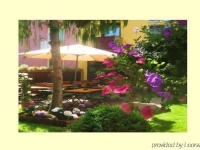 Hotel Petri 3*