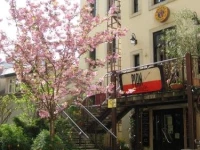 Hostel Louise 20 1*