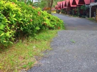 Banmai Resort 2*