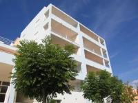 Maralvor 