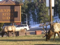 Murphys River Lodge 3*