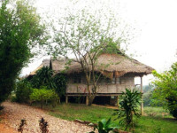 The Adima