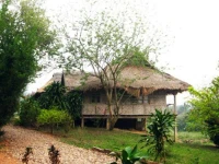 The Adima 